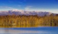 /album/galleria-foto-paesaggi/canne-e-monti-jpg1/